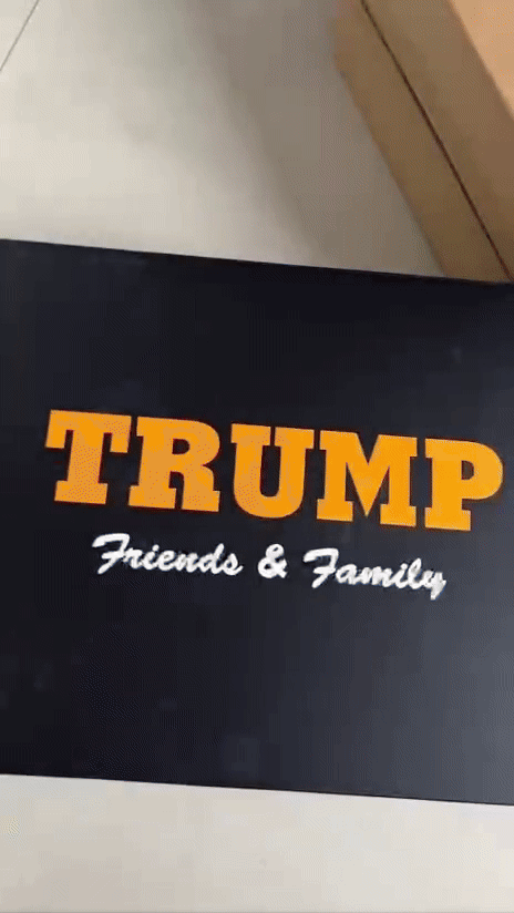 Donald J. Trump Sneakers Never Surrender